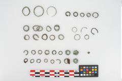 Foto von Bronzering (NHMW-PRAE-026654)